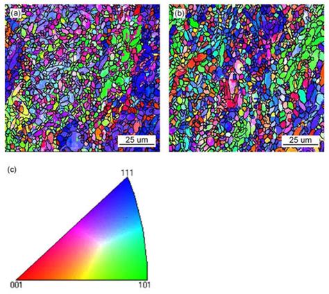 In Situ Observation of Microstructural and Inclusions Evolution in High ...