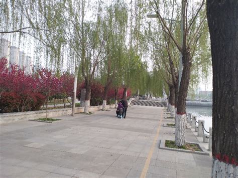 郑州郊区公园，依湖而建，适合野钓野炊免门票（郑州滨河公园怎么样） | 游梦网