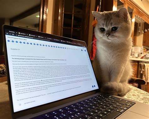 Unit 1 Progress Check Mcq Ap Lit - Surveys Hyatt