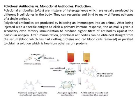 Monoclonal and polyclonal in diagnostics | PPTX