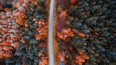Download wallpaper 1920x1080 autumn, road, aerial view, trees, forest ...