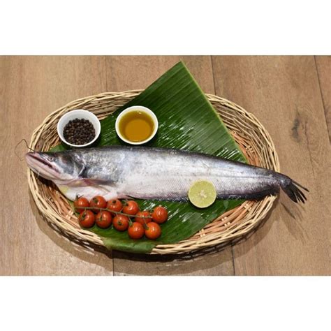 Fish & Seafood - Eggs Fish & Meat
