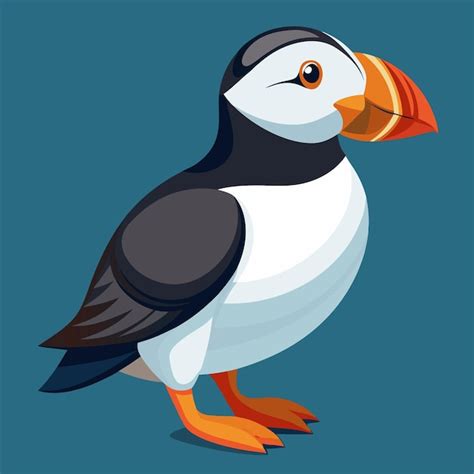 Image result for How to Change Background Color Using Python