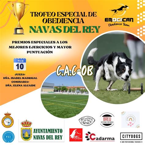 TROFEO ESPECIAL DE OBEDIENCIA NAVAS DEL REY, Polideportivo de Navas del ...