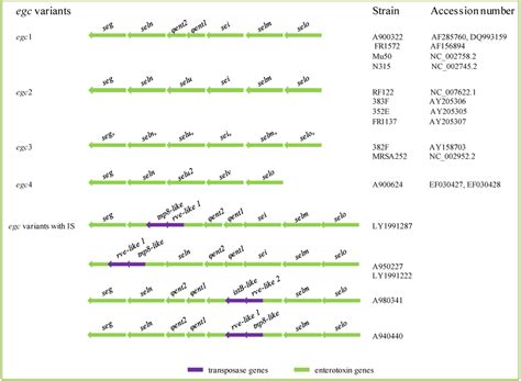 Toxins | Special Issue : Enterotoxins