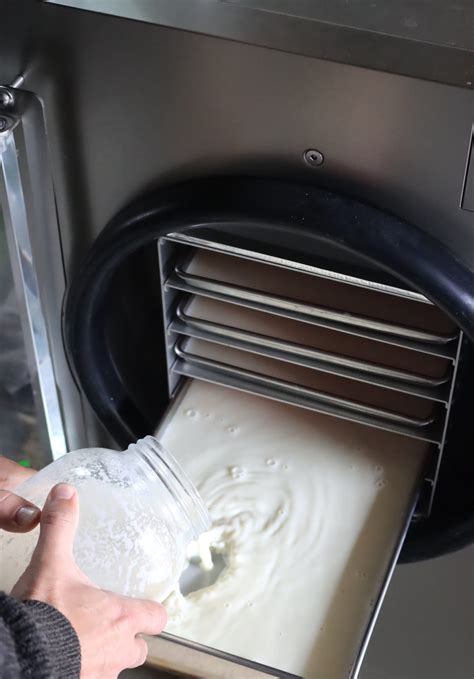 How to Freeze Dry Milk — Practical Self Reliance