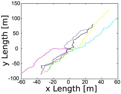 Lévy Flight and the Interpersonal Distance of a Pedestrian in a Crowd