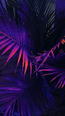 Neon Wallpaper Aesthetic Blue by Blue Aesthetic Wallpapers Wallpaper Cave Neon Wallpaper Aesthetic Blue