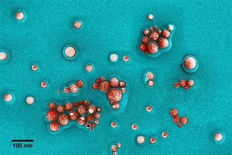 Image result for Atomic Microscope