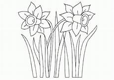 kinder malvorlagen narzisse kinder malvorlagen narzisse kinder ausmalbilder kinder malvorlagen narzisse kinder malvorlagen narzisse kinder ausmalbilder
