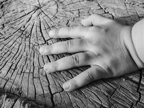 Image result for Stumpy One Hand