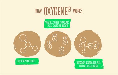 Image result for Oxygene Tutorial