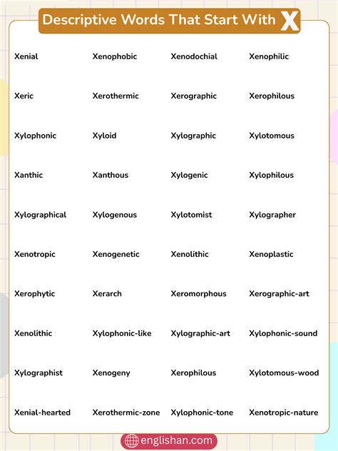 33 Complete Descriptive Words That Start With X | Positive, Rare