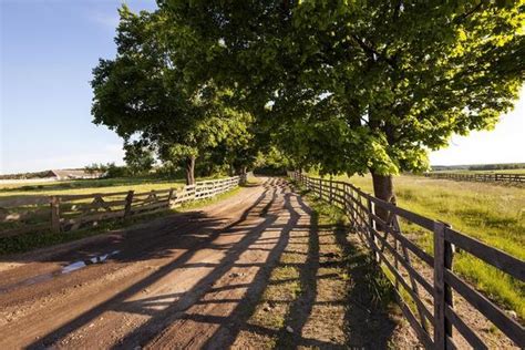 Country Ranch Background 的图像结果