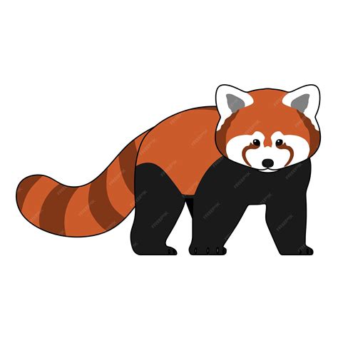 Premium Vector | Red panda cartoon illustration