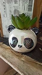 Chumbak Ceramic Panda Planter, White, Standard, 1 Piece : Amazon.in ...