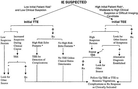 Infective Endocarditis | Circulation