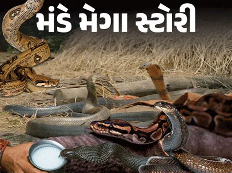 Nagmani Real Story; Snakes (Ichchadhari Nagin) Interesting Facts | Nag ...