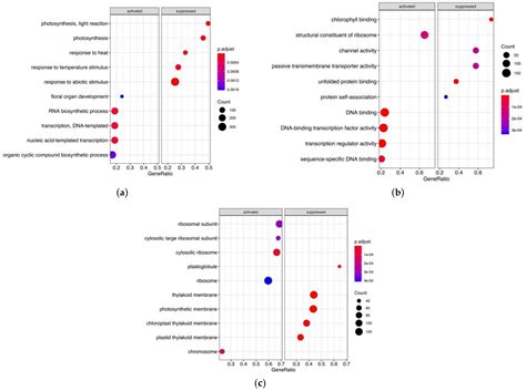 Identification of Key Metabolic Pathways and Biomarkers Underlying ...