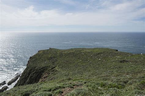 California 的图像结果