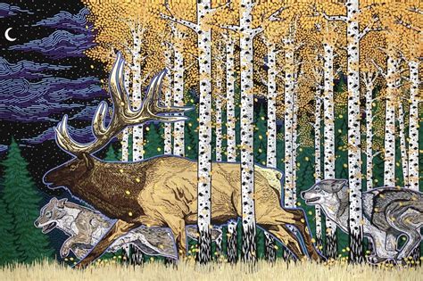 The Flooring Place And Design Gallery Bozeman Photos - Design Talk