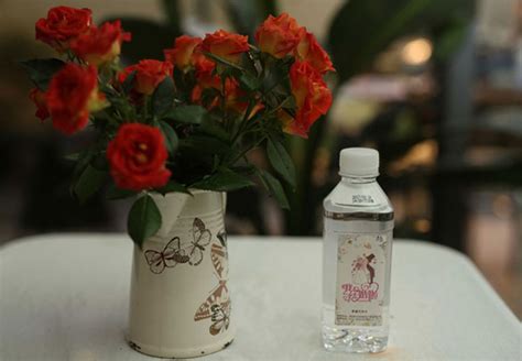 德国水丽助清江尚品小瓶水品牌提升