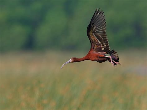 Goose Lake Recreation Area - Oregon State Parks | Oregon Lottery
