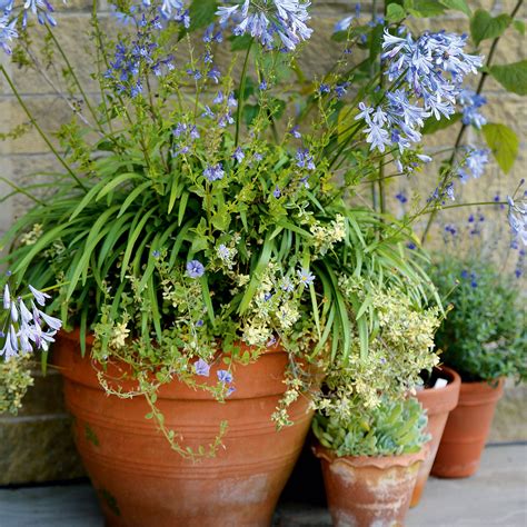 How to arrange pots on a patio - 6 things to consider | Ideal Home