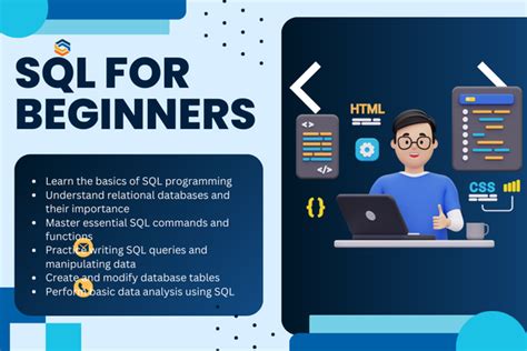 Image result for Microsoft SQL for Beginners