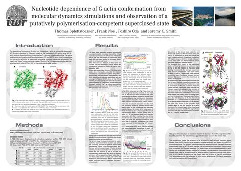 Conference Poster Session Examples 的图像结果