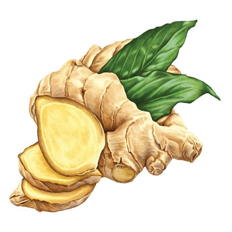 Ginger Candy | Jaycee Candy