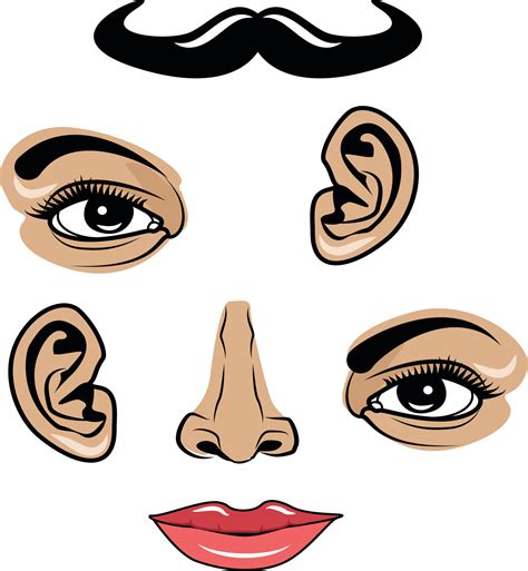 Vector Image Of Parts Of Human Face 22709626 Vector Art at Vecteezy