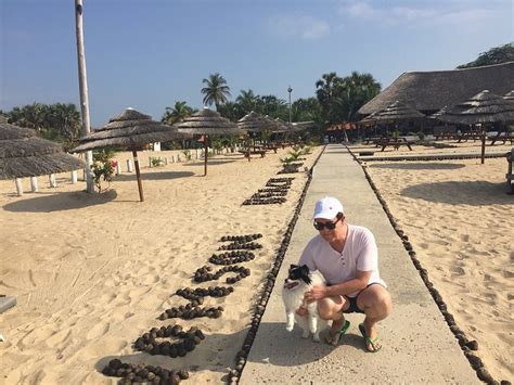 THOMSON BEACH HOUSE - NAYUKA (Mussulo) - Hotel Reviews & Photos ...