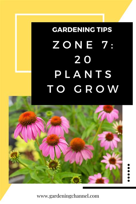 landscaping ideas zone 7a