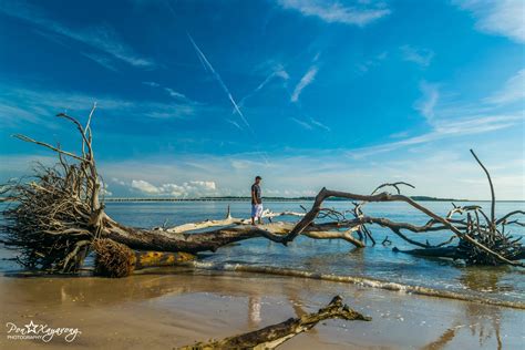 Visit Big Talbot Island State Park: Best of Big Talbot Island State ...