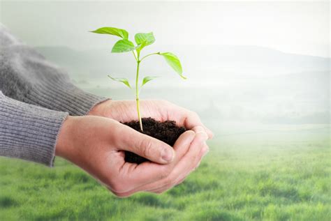 Ecology Examples 的图像结果