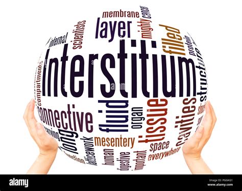 Interstitium (new organ discovered in human body) word cloud sphere ...