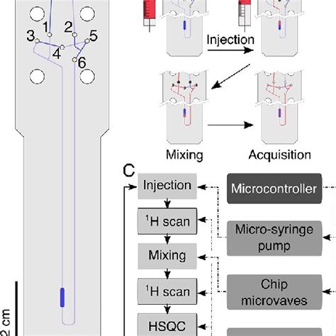 Microfluidic Chip 的图像结果