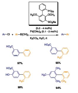 Buchwald Ligands