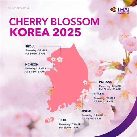 South Korea cherry blossom 2026 forecast. The dates & where to see cherry blossoms in Korea ...