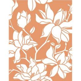 Image result for Mod No Background