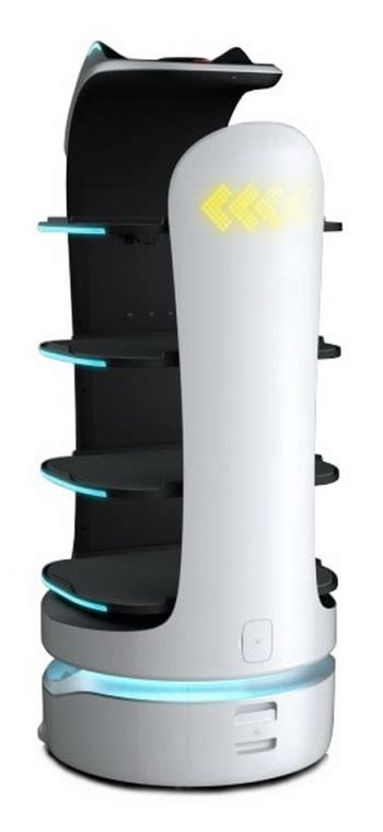 Робот Pudu Robotics BellaBot BL101 — купить по низкой цене в интернет ...
