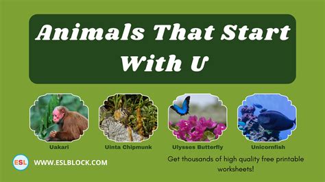 Nature Words Start With U at Jane Shepherd blog
