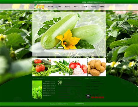 农产品的网站设计网页UI素材免费下载(图片编号:6106782)-六图网