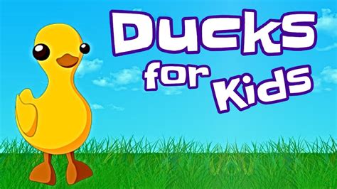 Color Duck Video for Kids 的图像结果