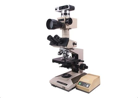 Olympus Scopes 的图像结果