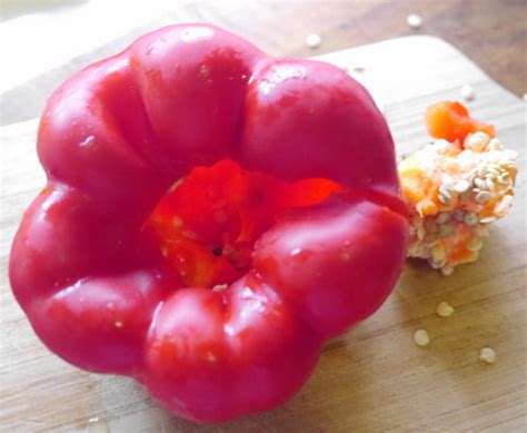 青红椒切菱形,青椒怎么切菱形,青椒和红椒图片_大山谷图库