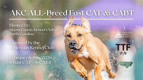 Moore County Kennel Club – CAT (Coursing Ability Test) And Fast CAT ...