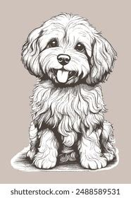 Image result for Cockapoo Dog Sitting Down