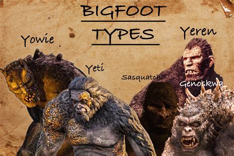 Bigfoot types | Bigfoot sightings, Bigfoot art, Bigfoot photos